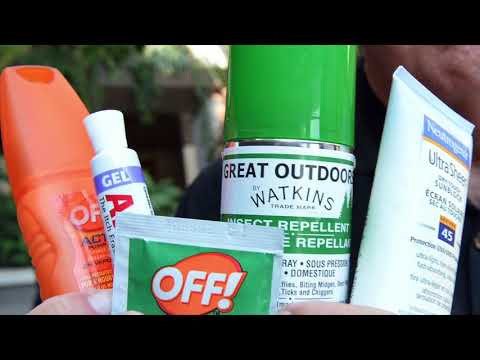 Mosquitoes make a comeback in Edmonton