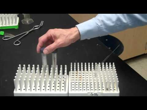 Concentrating Proteins Using Amicon Centrifugal Filters