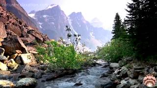 Download lagu Lauren Daigle - You Say (New Reggae Remix 2k20) mp3