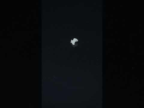 YouTube 썸네일