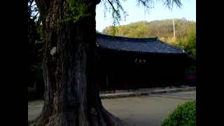 preview picture of video 'Jeonju Korea Style House Village. Jeonju Hyang-Gyo ( Confucian school )'