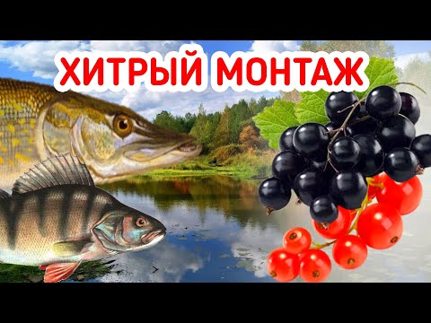 9 грамм