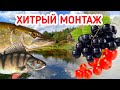 5 грамм