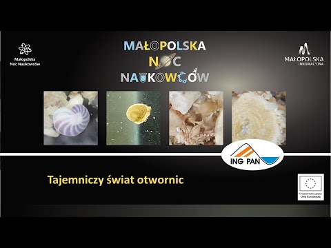 Ojcowski Park Narodowy – Mikrofauna i wapienie jurajskie