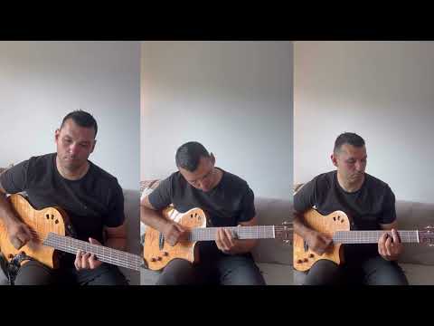 Ljubisa Pavkovic - Medeno kolo - Gitara - Miljan Pejcic