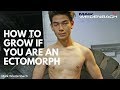 How to Grow if You Are An Ectomorph