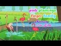 Pink Flamingo Finger Family Song Children Nursery Rhymes Collections