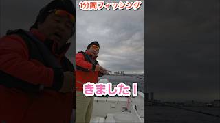 アジ・シーバス・クロダイ