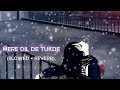 Mere Dil De Tukde Perfectly Slowed Reverb HEART TOUCHING Punjabi Song