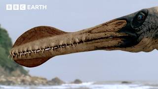 Ornithocheirus Loses His Last Battle Against Time | Walking with Dinosaurs (1999) | BBC Earth