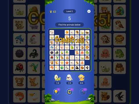 Pet Finder video thumbnail