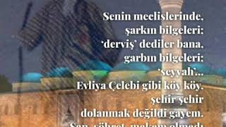 bursa'da bir derviş/salim nizam