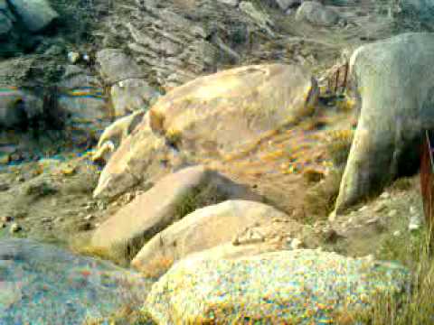 Ranis gat swabi 4 ARK mobile Zaida.3gp