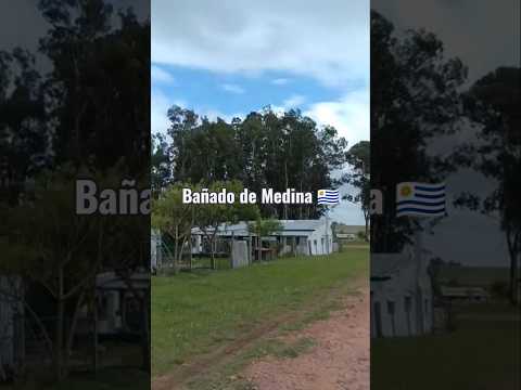 Bañado de Medina , departamento de Cerro Largo , Uruguay 🇺🇾 . Videitos cultura uruguaya .