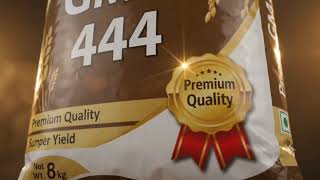 New product Launch (GMS)