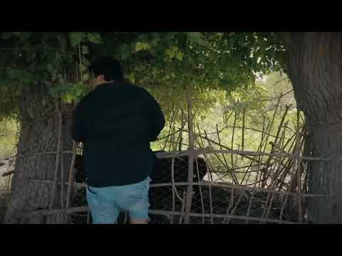 Найим дебил Билан Райим дембл