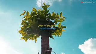 Download lagu STORY WA LITERASI 30DETIK || HARI MINGGU STATUS WA TERBARU mp3