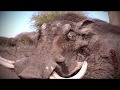 Cruiser Safaris - Joel Tavera Warthog Hunt