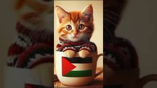 Download lagu Atuna Tufuli - ATOUNA EL TOUFOULE #kucingsholawat #kucingshalawat #kucinglucu mp3 Download lagu Atuna Tufuli - ATOUNA EL TOUFOULE #kucingsholawat #kucingshalawat #kucinglucu mp3