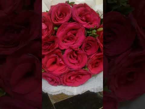 Beautiful Red Flowers (My Birthday 🎉🎈 Gift 🎁)