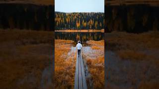 Gym Class Heroes_Stereo Hearts l My Heart&#39;s a Stereo l Aesthetics  #stereohearts#saimusiceditor