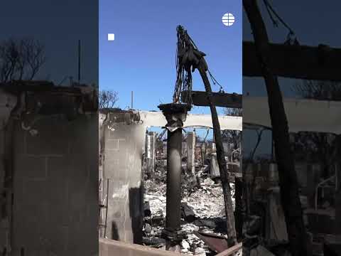 James Woods celebra que su casa sobrevivió al incendio de Palisades: «Es un milagro»