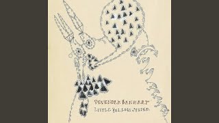 Little Yellow Spider