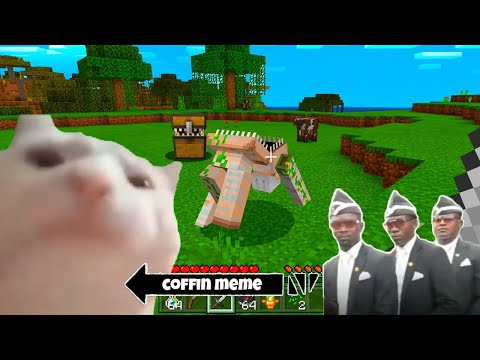 Best of Cat Vibing Coffin Meme - Minecraft