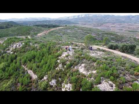 La Serreta - Real - Vall dels Alcalans