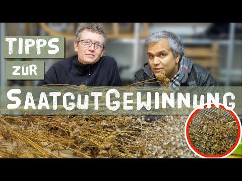 Tips for seed production - Plan now