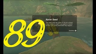 Faron Korok Seeds, Part 1 | Zelda: Breath of the Wild 100% Walkthrough "89/127" (No Commentary)