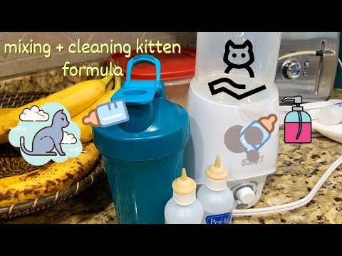 How to Prepare Kitten Formula + How to Clean and Sanitize Kitten Bottles After Feeding