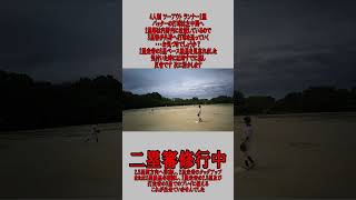 4人制 2塁審 ツーアウト ランナー2塁 左中間への打球の場合 #野球 #少年野球  #審判 #二塁審