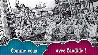 Candide de Voltaire, résumé complet ! (Quatrième partie, chapitres 23 à 30)