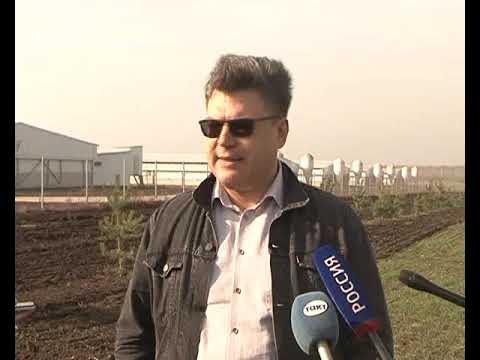 Компания &laquo;Мираторг&raquo; реализует экологический проект по озеленению территорий