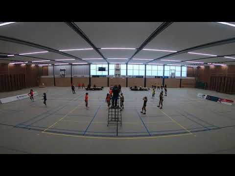 Seesing Flex | Longa'59 D1 - Tornado Geesteren D1