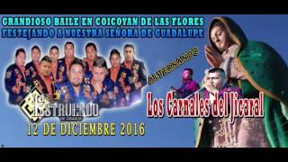 COICOYAN DE LAS FLORES 12 DE DICIEMBRE 2016