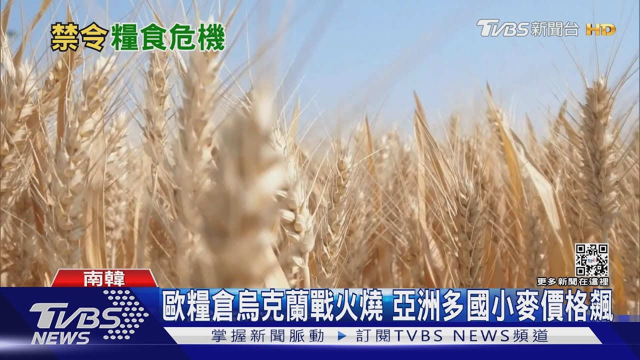 歐洲糧倉烏國戰火燒! 日韓小麥價格飆 陸宣傳小麥豐收能自足