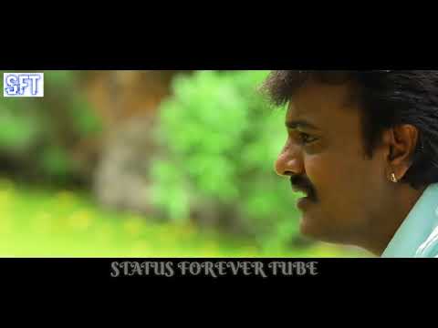 Armano dil na//Status forever tube