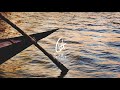 Vlad Gluschenko Paddles