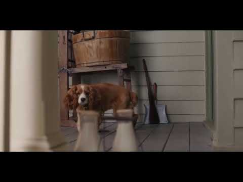 Lady and the Tramp (2019) in the Morning Lady Vs Rat 🎥