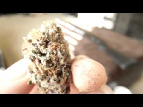 download lagu mp3 mp4 Diesel Watch Purple, download lagu Diesel Watch Purple gratis, unduh video klip Diesel Watch Purple