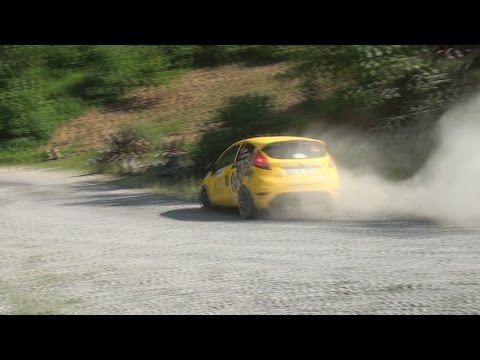 2015 Yeşil Bursa Rallisi / Serpil Pak - Soner Ömürlü / Ford Fiesta R2