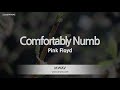 Pink Floyd-Comfortably Numb (Karaoke Version)