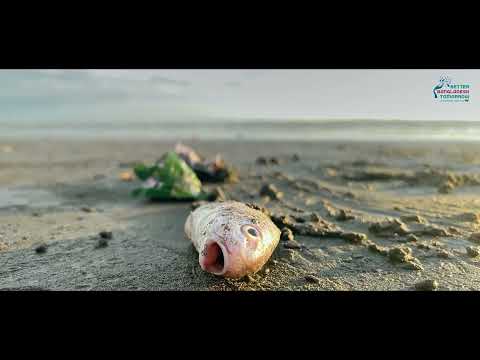 A-Plastic Pollution Documentary For Better Bangladesh Tomorrow