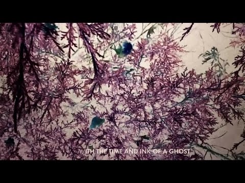 José González - With the Ink of a Ghost (Lyric Video)