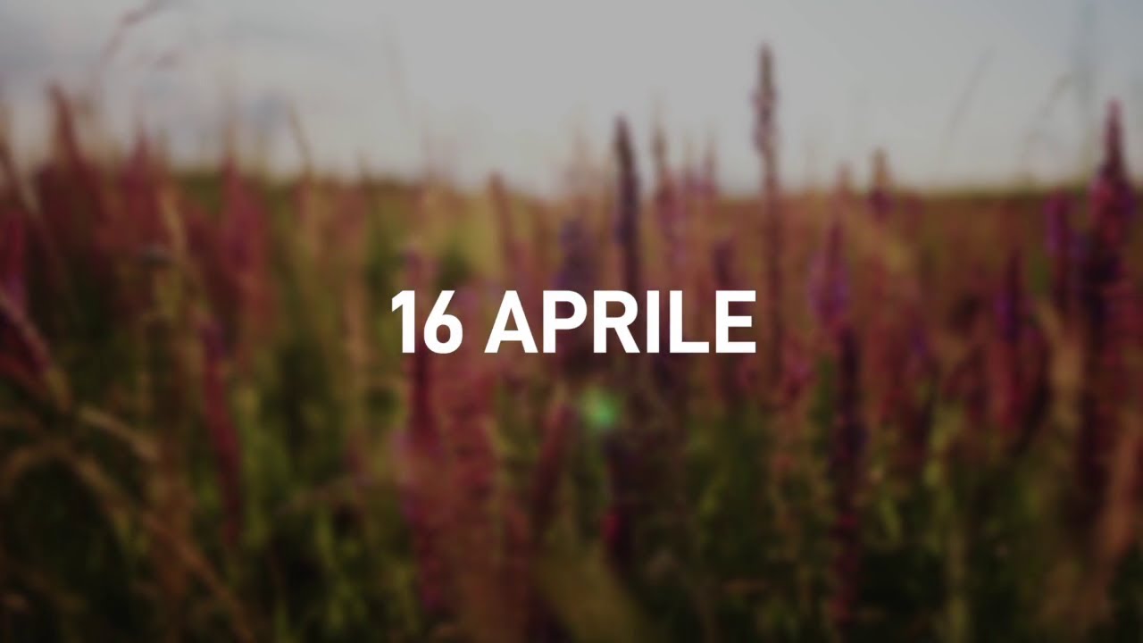 16 Aprile 2025 | Meditazione Parole di Vita