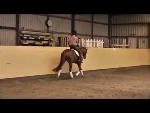 v. floriscount wallach 2010