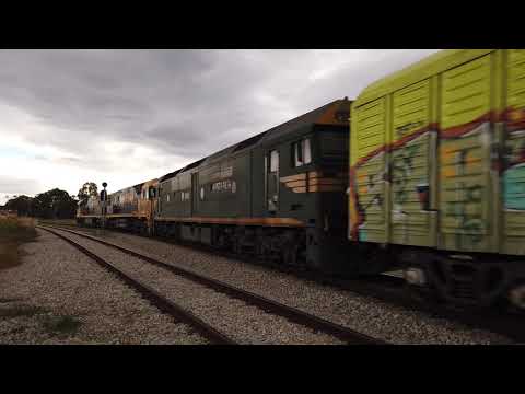 Pacific National Intermodal Freight Through Mile End, Adelaide - 1.8km long Train