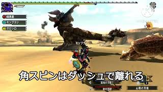 ＭＨＸＸ 鏖魔デスロールの安全な避け方講座